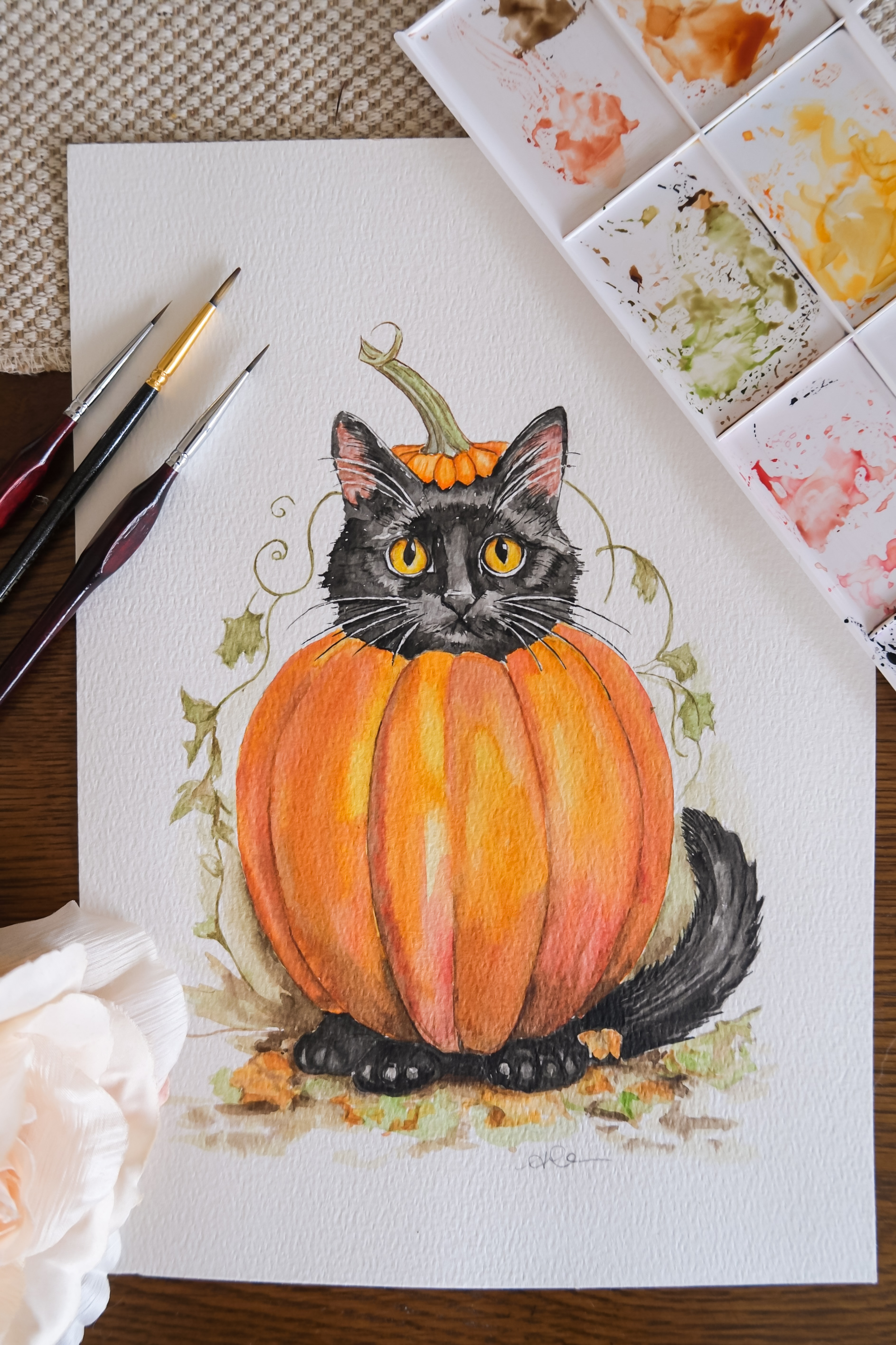 Black cat pumpkin